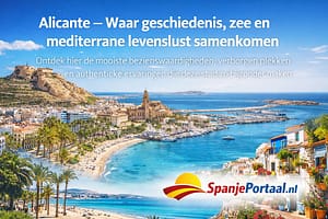 56b5821c 17b4 4c68 bfa8 6d39e9b666b9