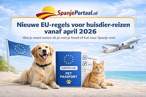 67cf8f05 b8e3 4701 9168 7219e3e7883e