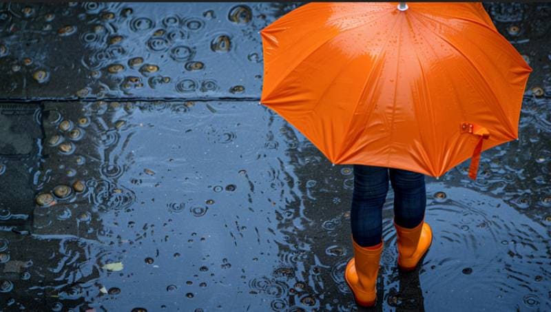 1000261171 11771332349 large